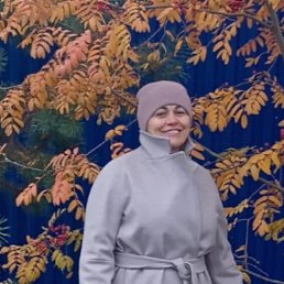 , 48, 