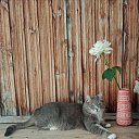 ���� &hearts;�����&hearts;, ����-��� - ��������� 13 ������ 2025 � ������ ������ ��������