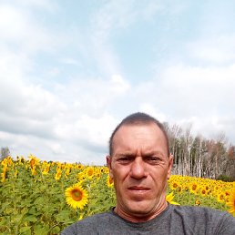 , 46, 