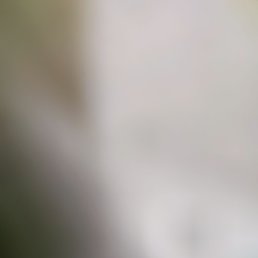 ���� �����, �������, 68 ��� - ��������� 14 ������ 2026