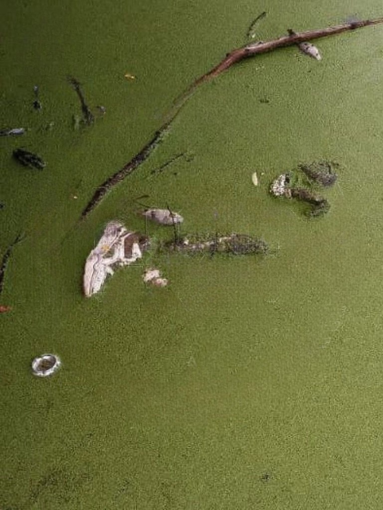 � ����� ����� � �� 