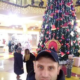 ������, 37 ���, ������