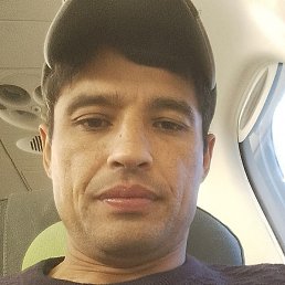 �����, ������, 41 ���