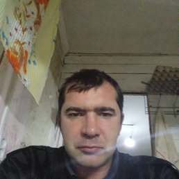 , 36, 