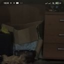  , , 31  -  10  2024    