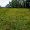 ���� ϸ��, ���������, 45 ��� - ��������� 7 ������� 2025