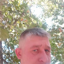 ������, �����, 38 ���