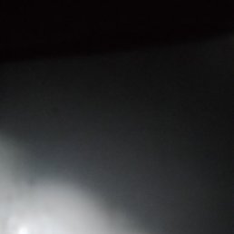 ��������, �����, 62 ����