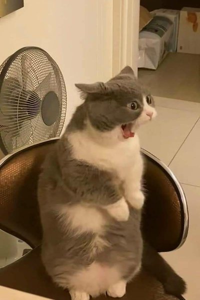 � ����� �������, ���� �� �����, ��� � �� ����