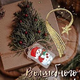 ���� ������, �������, 37 ��� - ��������� 12 ������ 2024