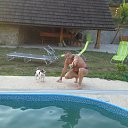 ���� Cornell, ������, 59 ��� - ��������� 6 ������ 2026