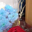 ���� ���, ������, 56 ��� - ��������� 5 ������ 2023 � ������ ���� ����������