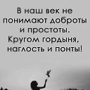 ���� ��������, ������ - ��������� 1 ������ 2024 � ������ ������ ��������