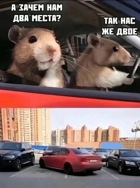 ������. - 20 ��� 2025 � 17:00 - 2