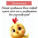 ���� ����, ������� - ��������� 28 ����� 2026