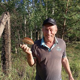 �������, ������, 62 ����