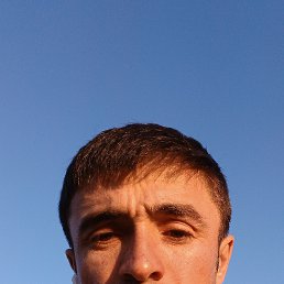 , 29 , 