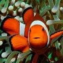 ���� ������, �����-���������, 32 ���� - ��������� 26 ������ 2023 � ������ ���� ����������