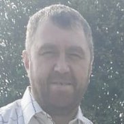 ������ ��������, 38 ���, ������