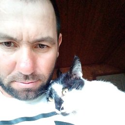 ������, ��������, 43 ����