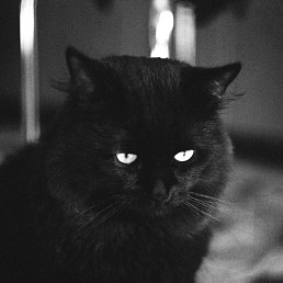 ��� �������, �����������