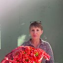 ���� �������, ������, 58 ��� - ��������� 19 ����� 2025 � ������ ���� ����������