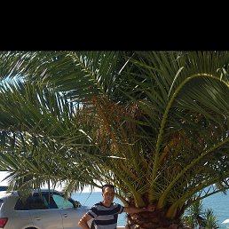 ������, 40 ���, ������� ��������