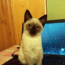 ���� ������, ��������� - ��������� 3 ������ 2024 � ������ ���� ����������