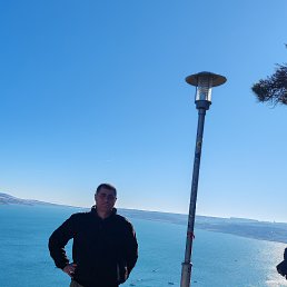 , 40, 
