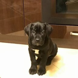 ����, ������, 49 ���