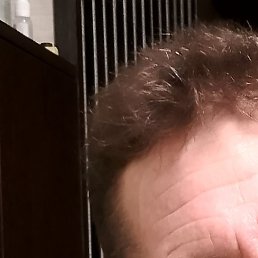 ������, ����, 56 ���