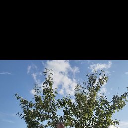 ����, �����, 21 ���