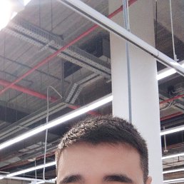 , 29, 