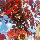 ���� ���������, ������, 37 ��� - ��������� 3 ������� 2025 � ������ ���� ����������