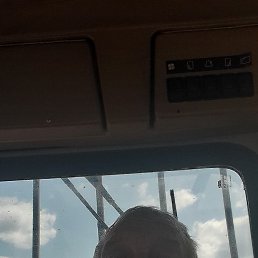 �����, ������, 62 ����