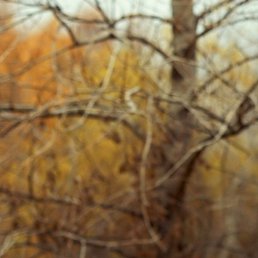 �����, �������, 23 ����