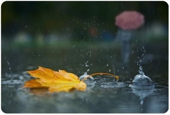   ,    ,      , ,   ... - 7