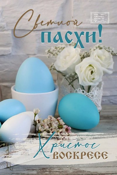 ����������� � ���������, �������� �� ������ ����. - 12 ������ 2026 � 00:35 - 3
