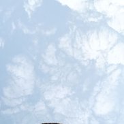 , 49 , 