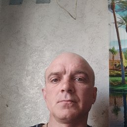 , 44, 