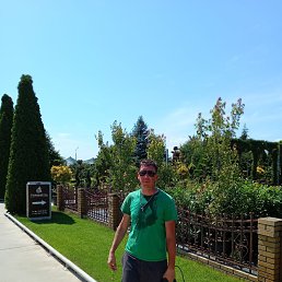 ���� �������, ����������, 38 ��� - ��������� 24 ������ 2024