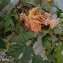 ���� �������, ������� - ��������� 20 ������� 2023 � ������ ����