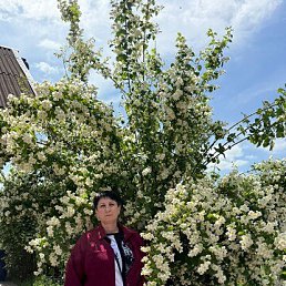 ���� ����, ������, 51 ��� - ��������� 4 ����� 2026