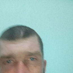 ���������, 38 ���, ������