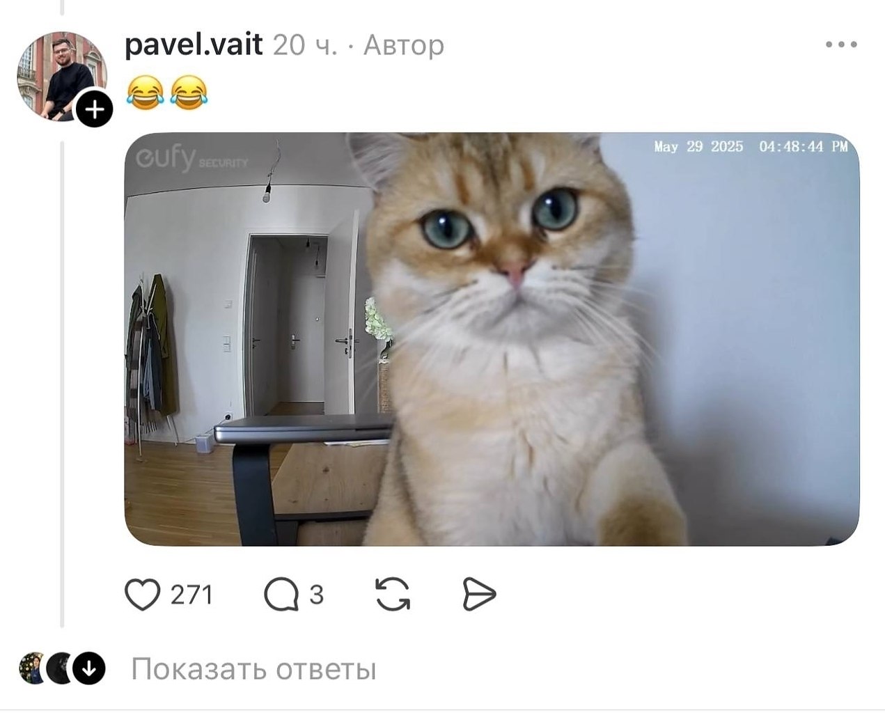 JPG - 16 ����� 2026 � 13:44 - 5