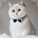 ���� Nadezhda, �����, 55 ��� - ��������� 14 ������ 2024 � ������ ���� ����������