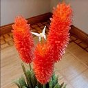 ���� �����, ���� - ��������� 10 ����� 2025 � ������ ���� ����������