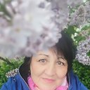 ���� �����, ������, 57 ��� - ��������� 14 ��� 2026 � ������ ���� ����������