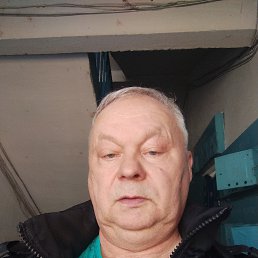 , 61 , 