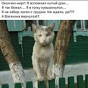 ���� �����, ����������� - ��������� 2 ������ 2026 � ������ ������ ��������